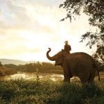 Anantara: Taking Thai Hospitality to the World