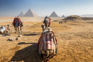 pyramids giza camel