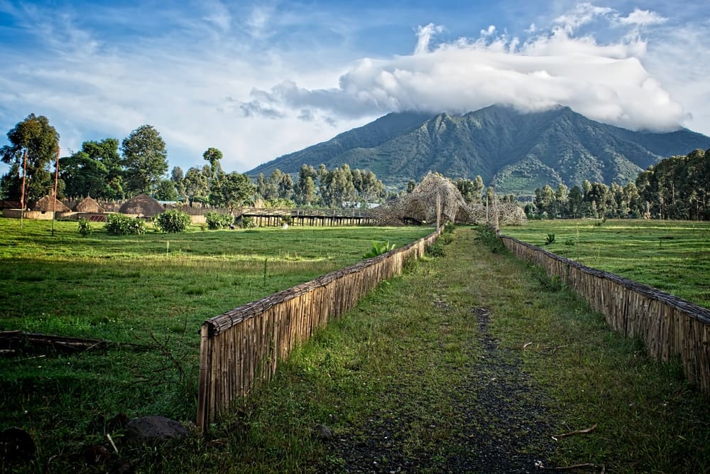 Volcanoes National Park, Rwanda