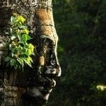 Cambodia Tourism Set to Soar