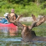 2018 - The Year to Visit Ontario
