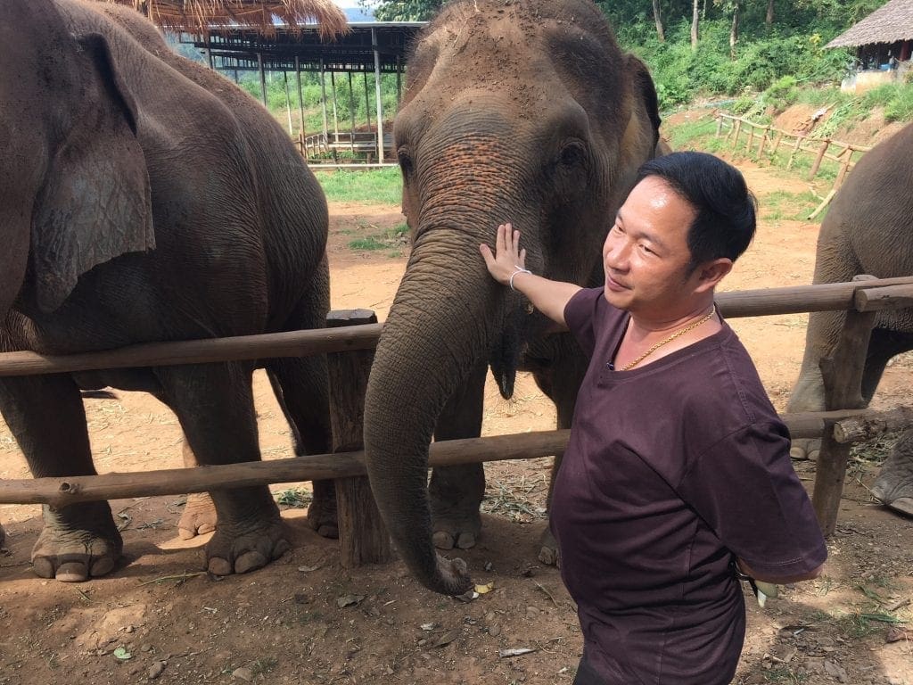 tuk tuk diaries tum elephant