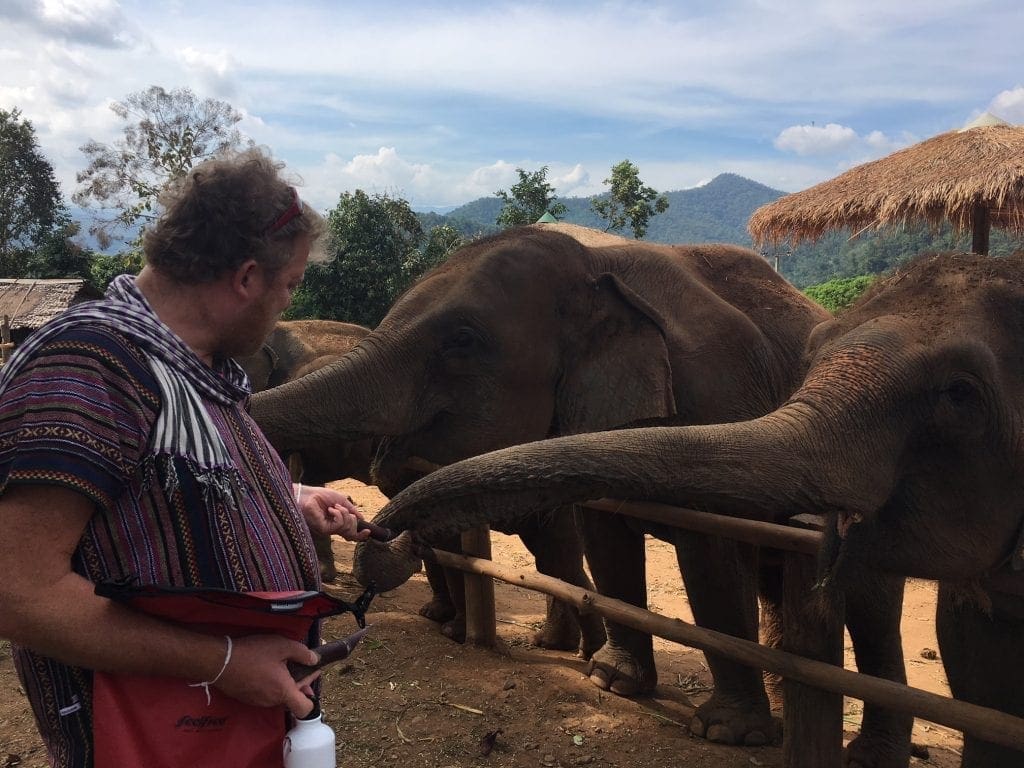 tuk tuk diaries feeding elephants