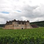 Burgundy Wine Cruise