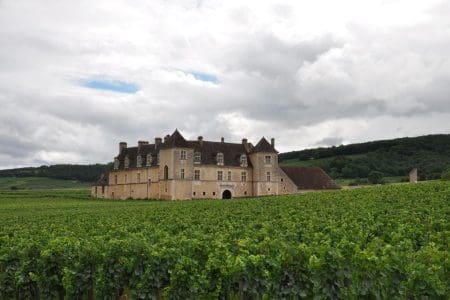 Burgundy Wine Cruise