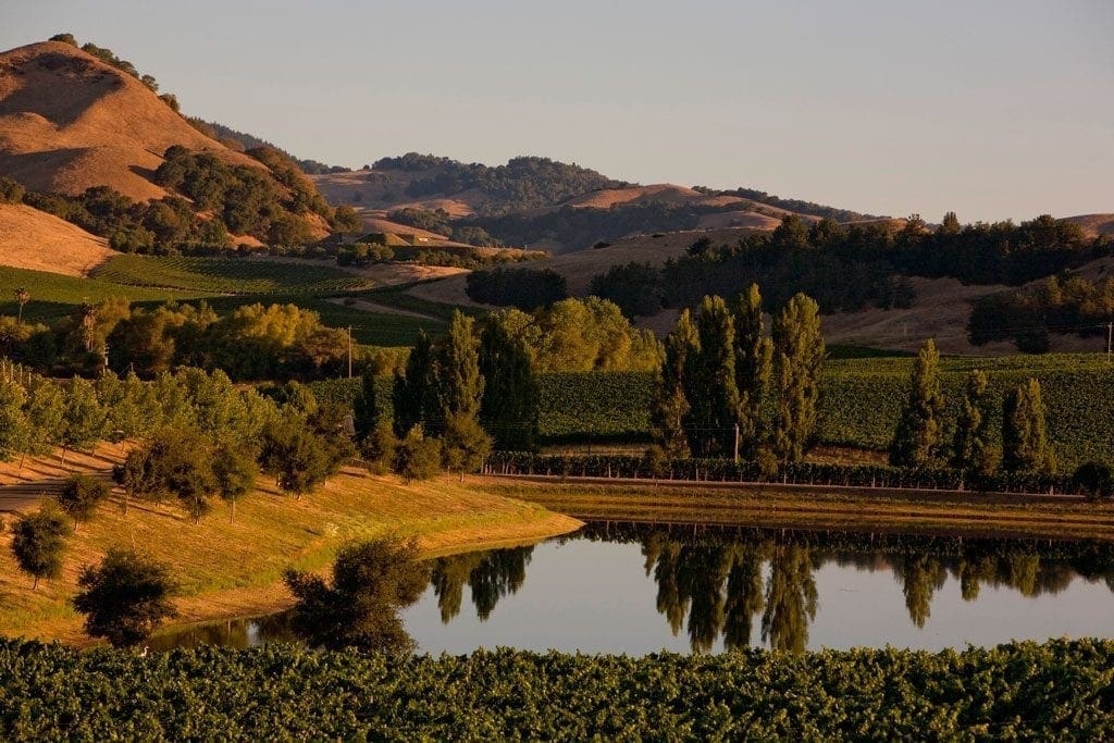 Don't visit San Francisco without visiting the surrounding environs, such as Sonoma County.