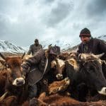 Pamir Highway, a Road Less Travelled