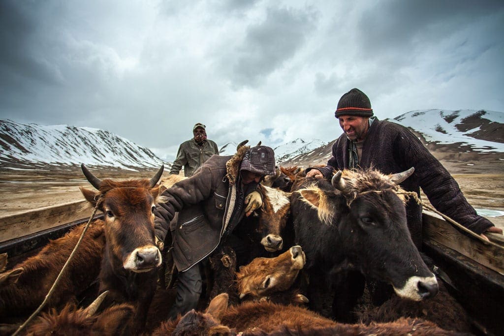 pamir highway