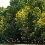 cardamom tented camp