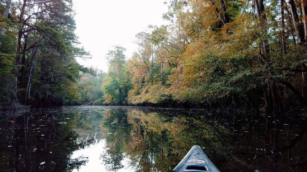 Congaree National Park