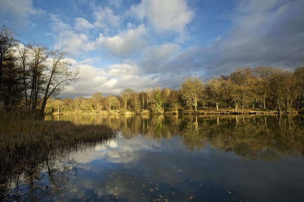 Forest of Dean & Wye Valley