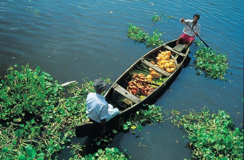 Kerala river boat