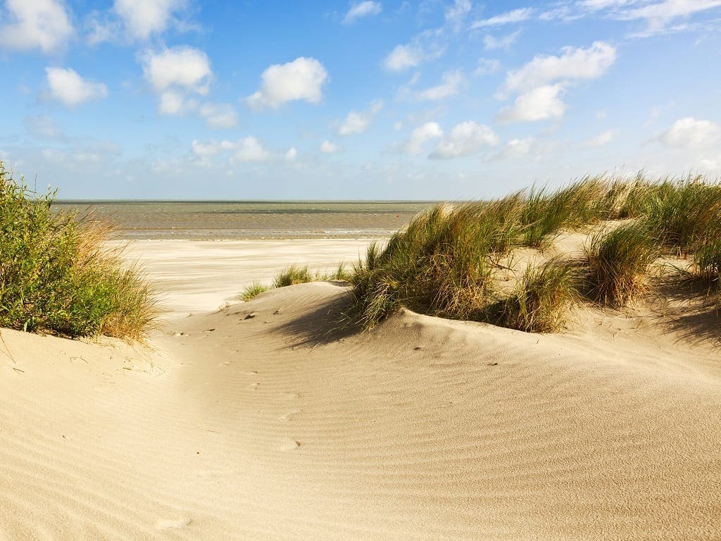 Beach and dunes at Knokke-Heist