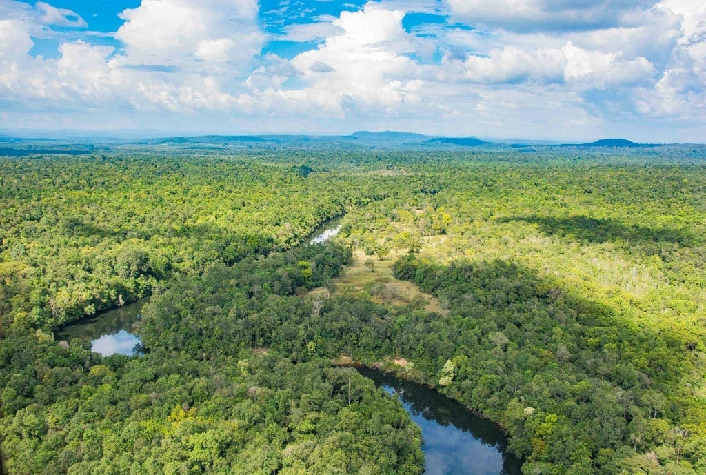 cardamom tented camp