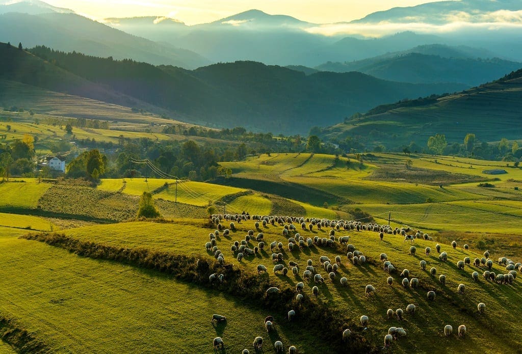 Sunset in Transylvania