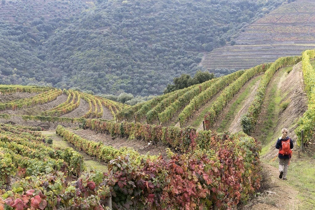 Hiking Portugal