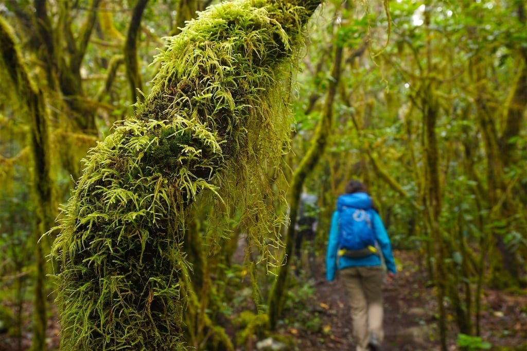 la gomera