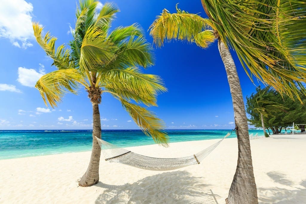 Hammock and palm trees at 7 mile beach, Grand Cayman