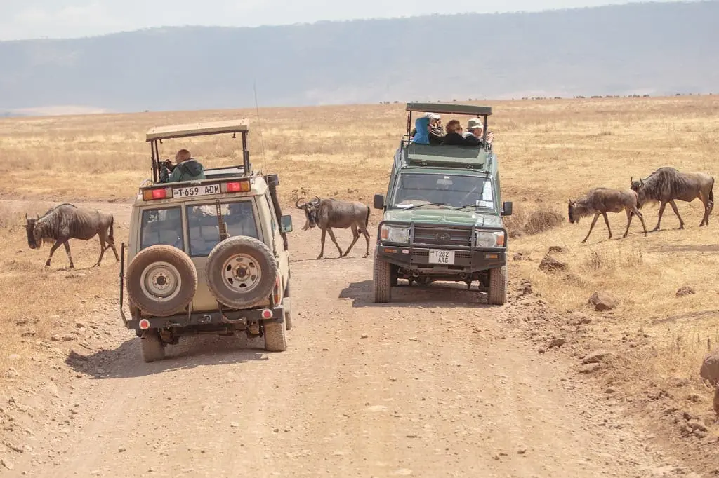 Intrepid Travel-tanzania_ngorongoro_safari-4wd-7803