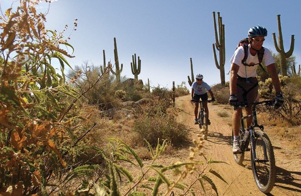 Mountain Biking in the McDowell Sonoran Preserve