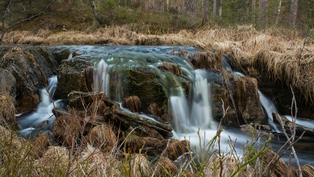 Tresticklan National Park