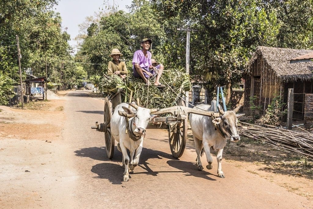 Traditional transport on Ogre Island