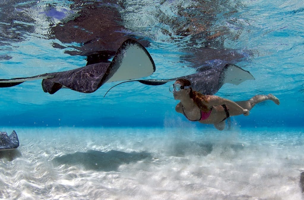 Stingray City