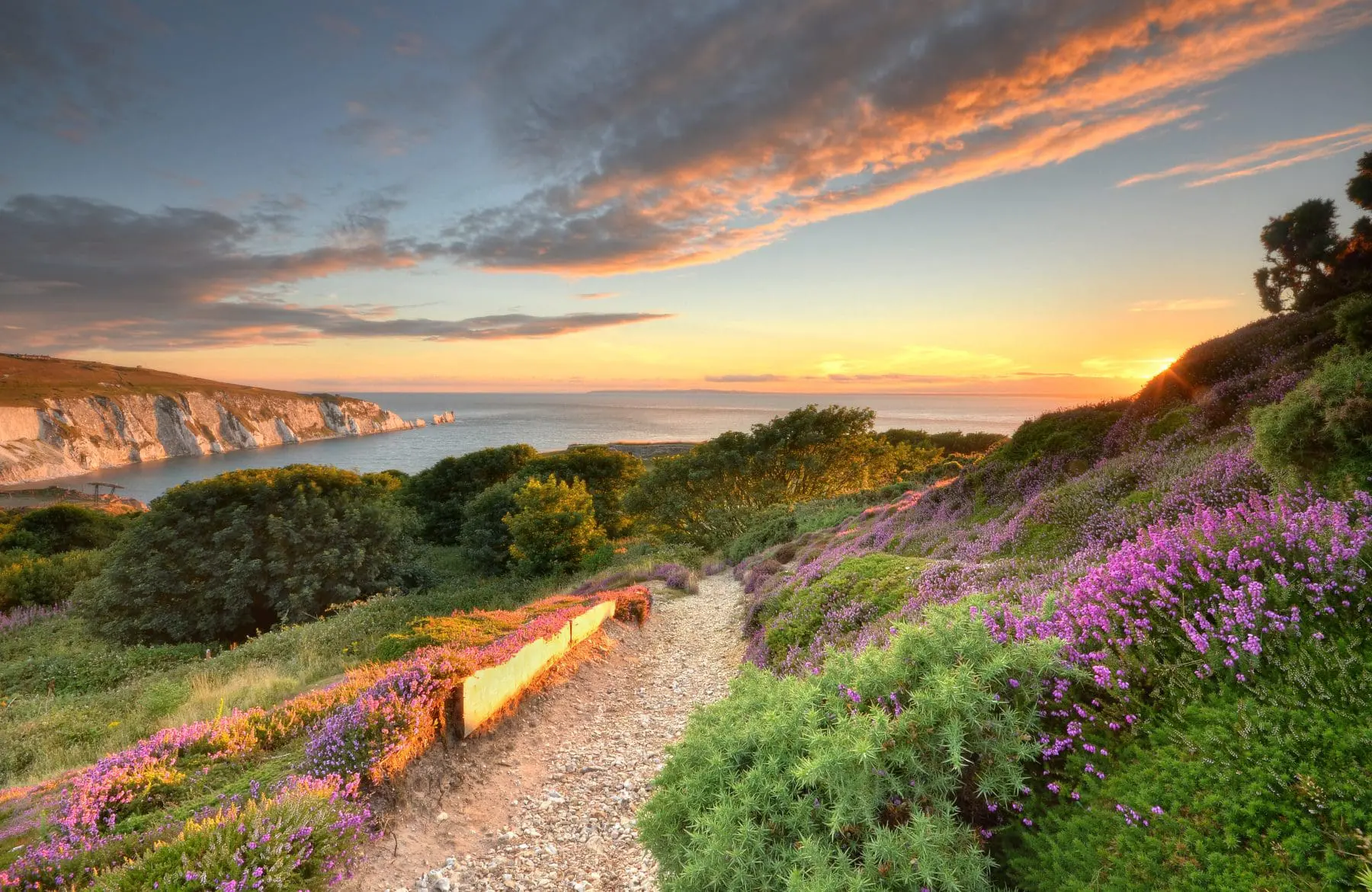 Headon Warren - credit Visit Isle of Wight dot co dot uk