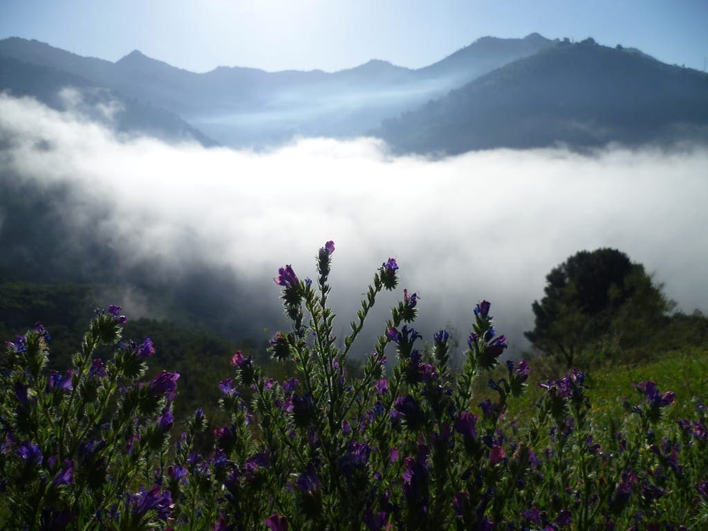 Save While Walking in Southern Spain Travel Begins at 40