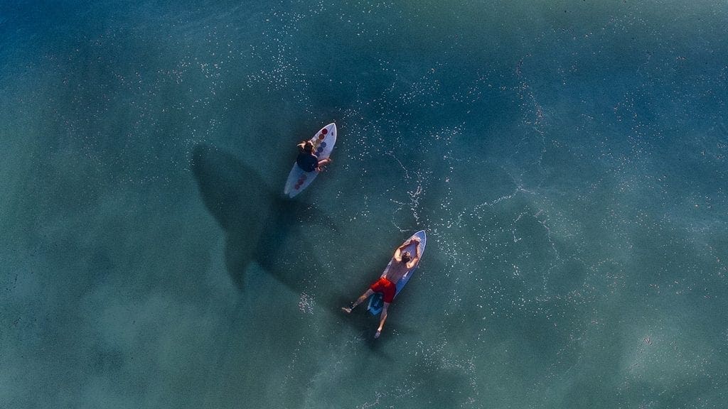 Paddle boarding for over 40s