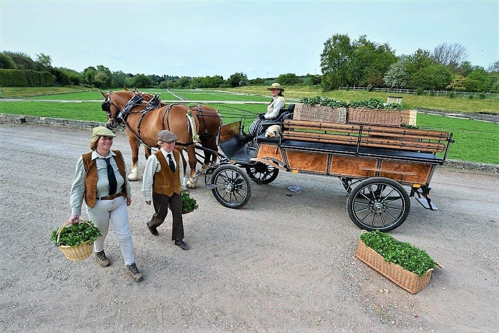 Delivering watercress the traditional way at the Watercress Festival