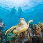 Learn to Scuba Dive: Just Breathe