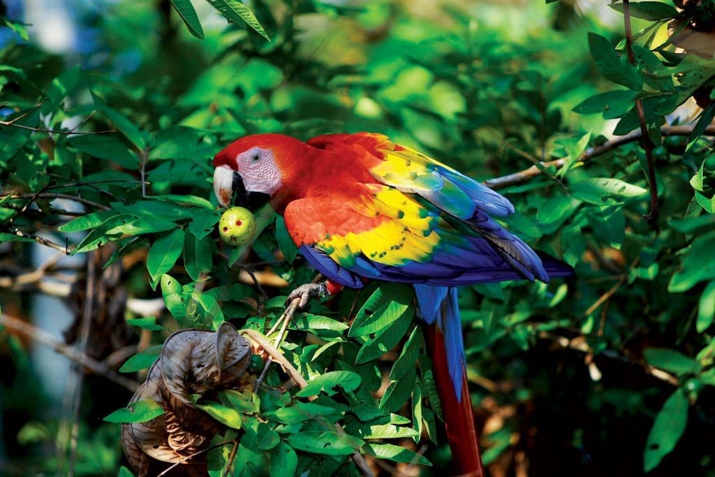 Costa Rica Travel Tips