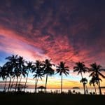 Ethical Travel Dilemma: To Boycott or Not to Boycott