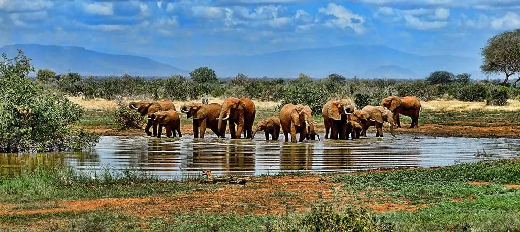 African Safari holidays