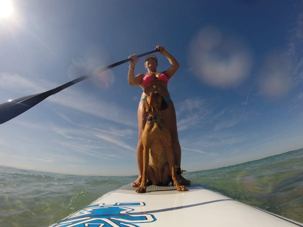 Paddle boarding for over 40s and dog