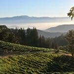 What’s New in Sonoma County, California