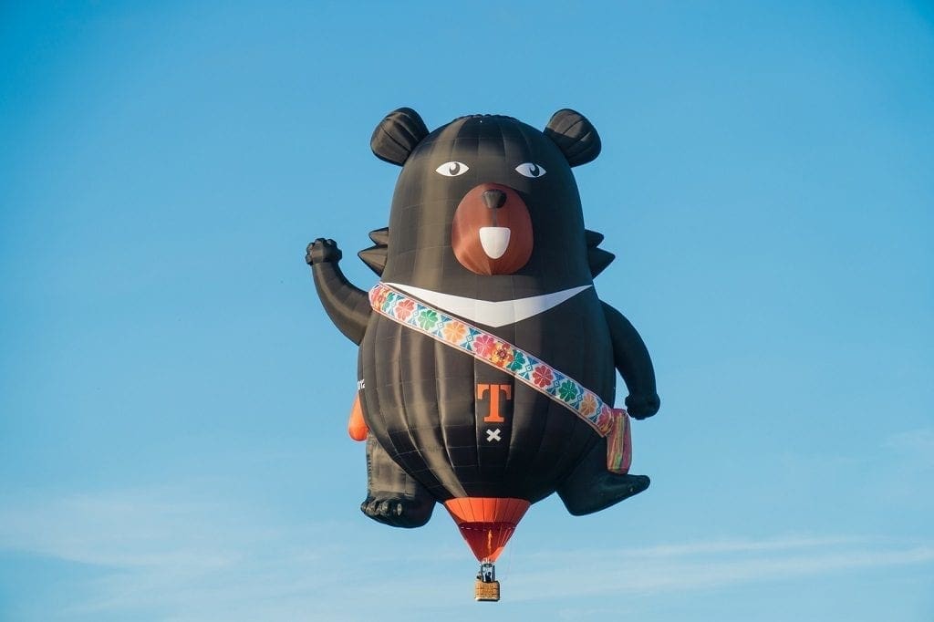 Taiwan International Balloon Festival
