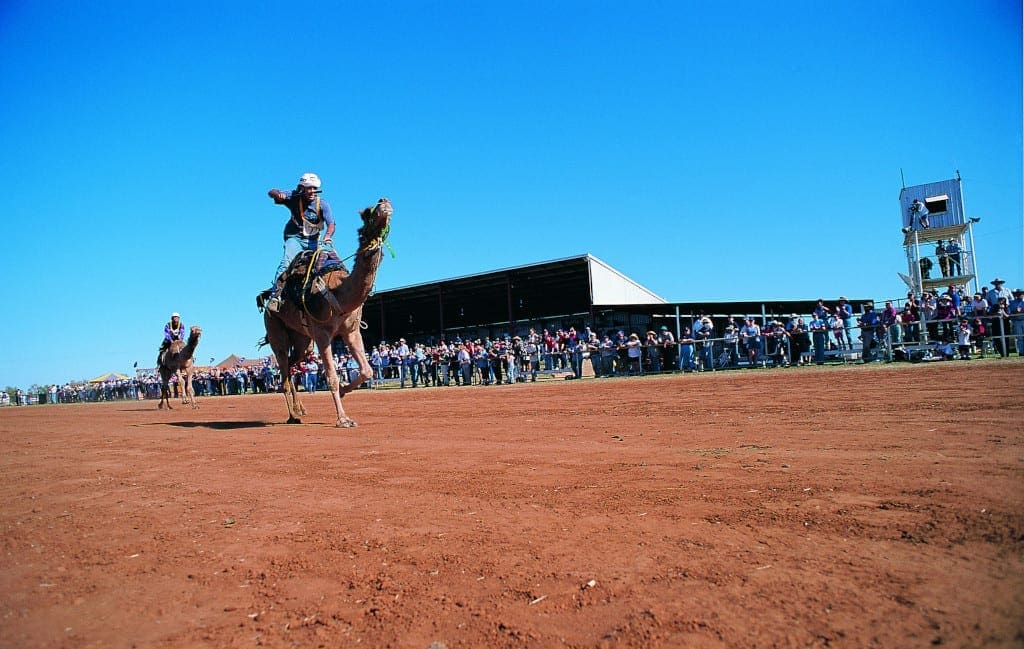 Queensland Festivals