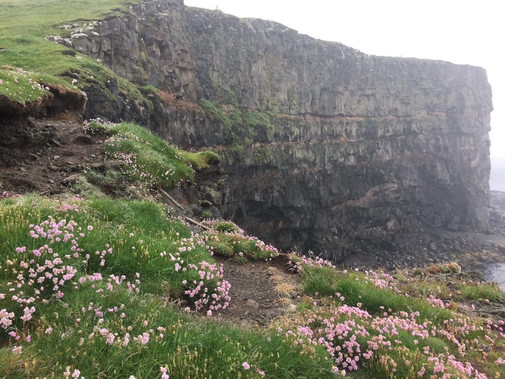 A cliff at Nólsoy with puffins nesting