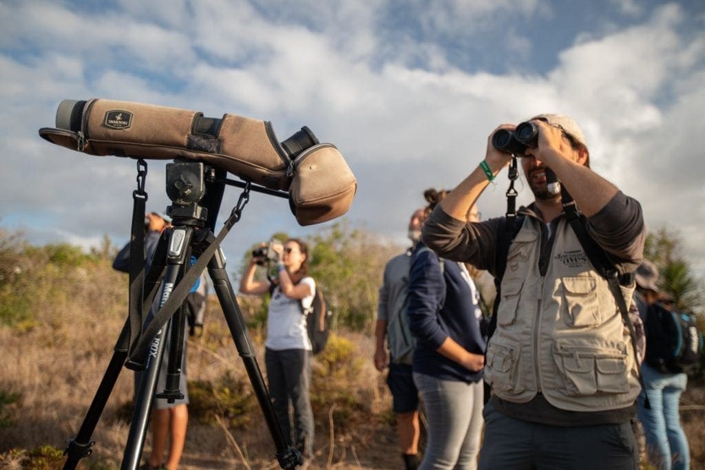 Sagres Birdwatching Festival