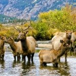 Colorado Holidays: Top Quirky Spots