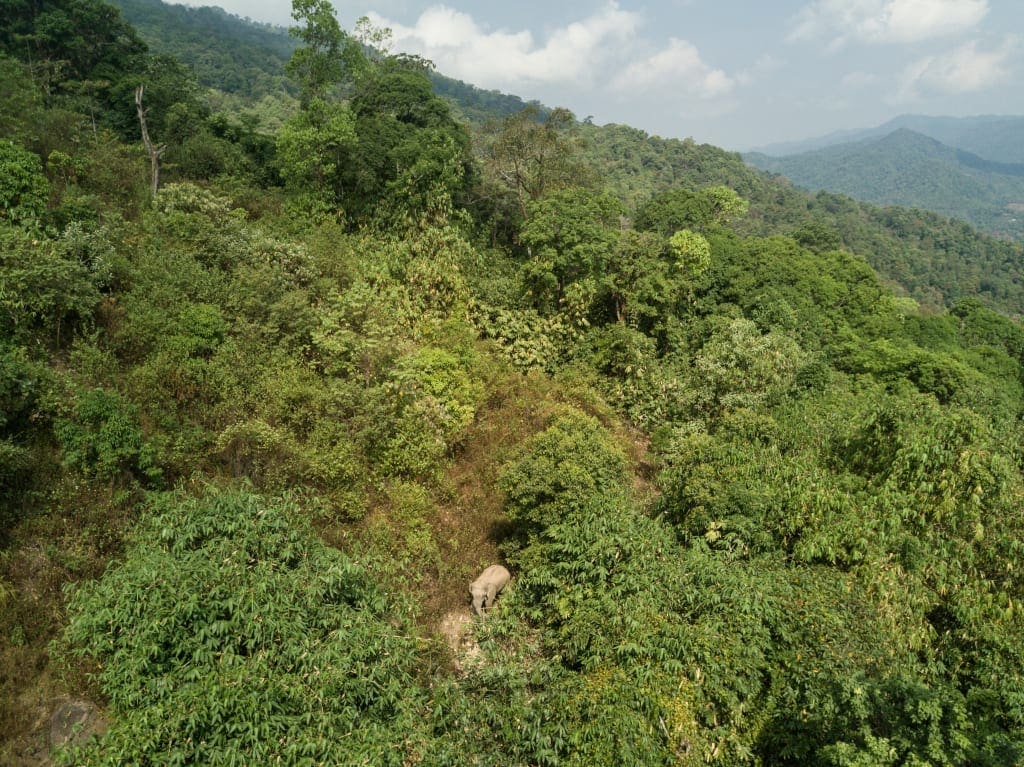 Elephant Sanctuary