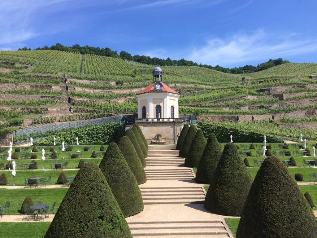Saxony Wine trail