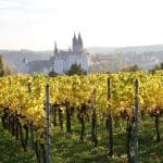 Explore the Hidden Saxony Wine Trail