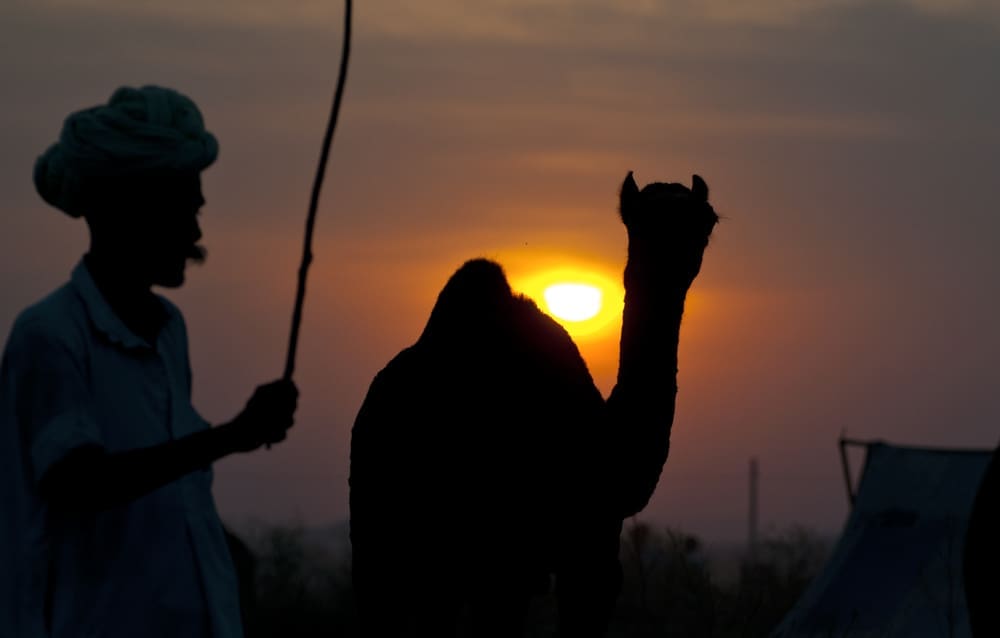 Pushkar Camel Fair