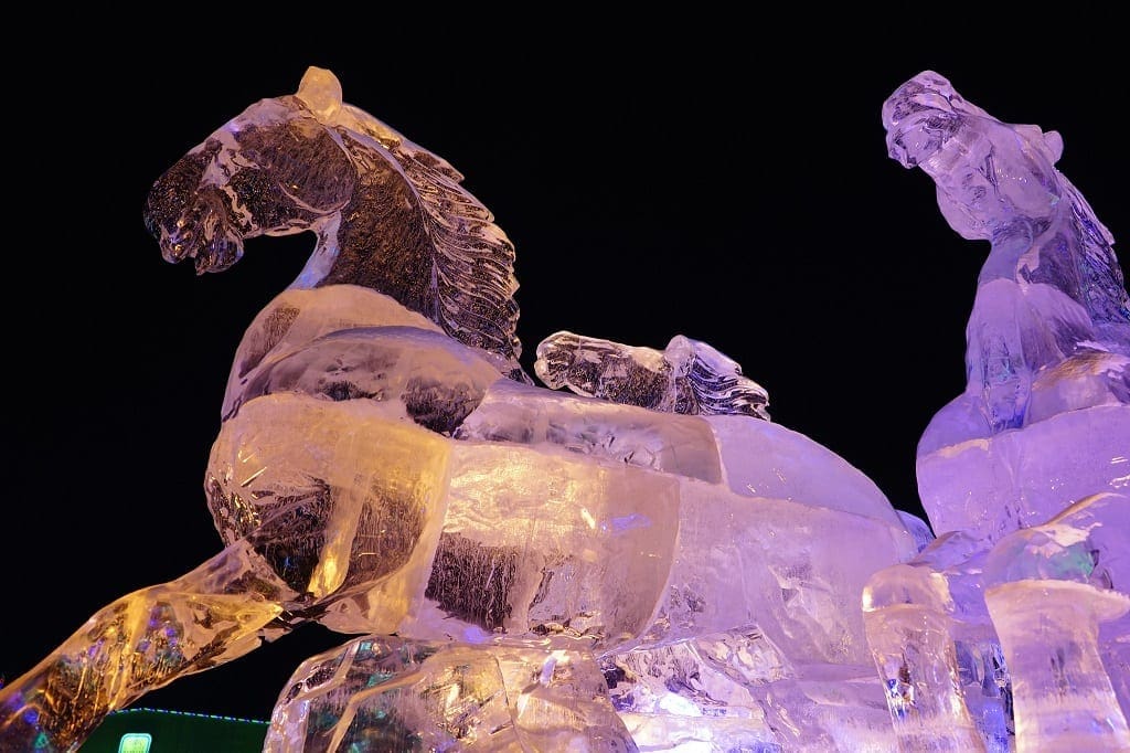 Translucent horses