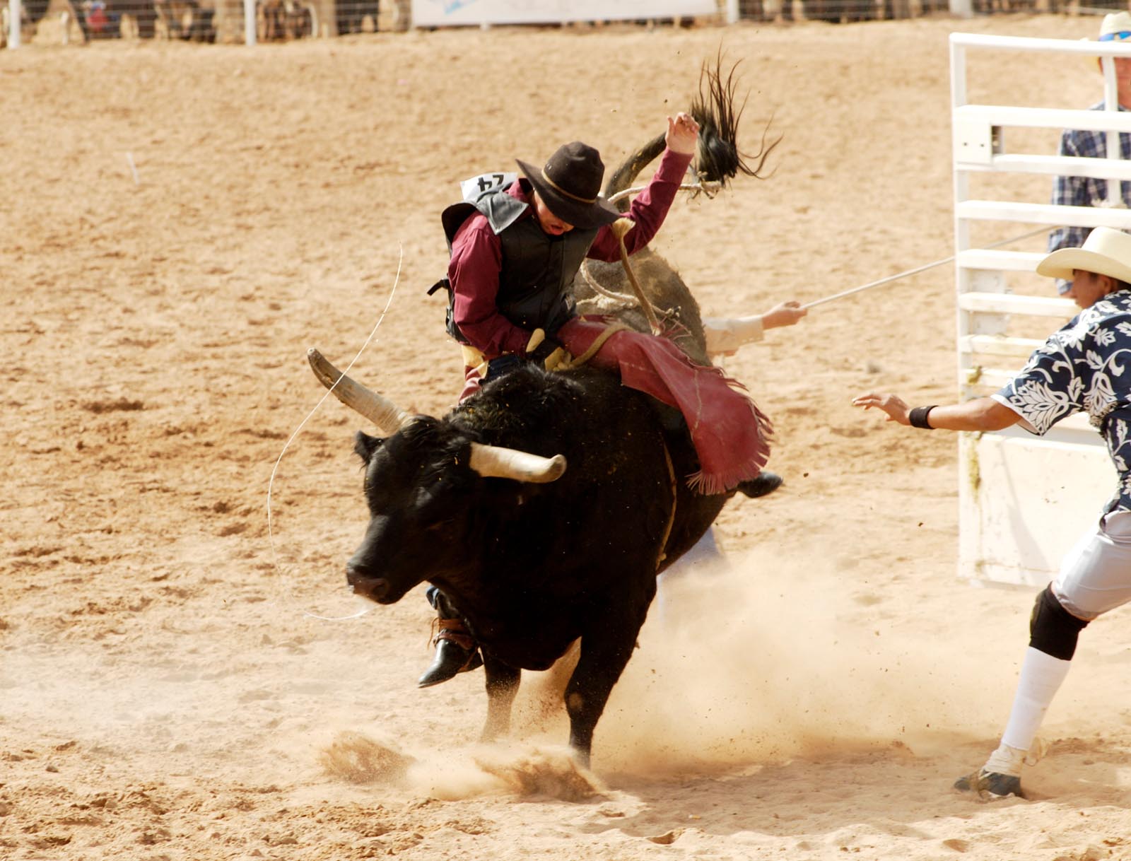 Professional Bull Riders World Finals