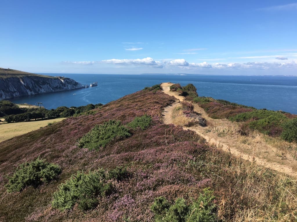 The view from Headon Warren to the Needles
