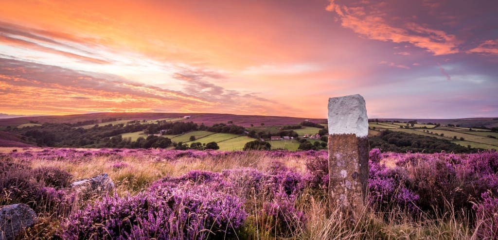 North York Moors